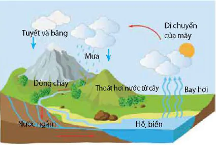 hinh-anh-bai-31-sinh-quyen-khu-sinh-hoc-va-chu-trinh-sinh-dia-hoa-13084-5