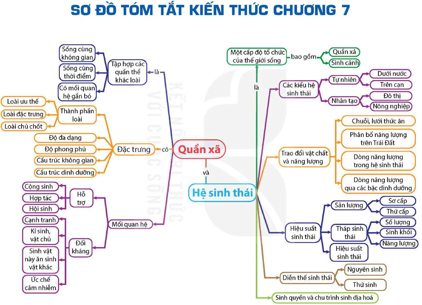 hinh-anh-bai-32-thuc-hanh-thiet-ke-mot-he-sinh-thai-nhan-tao-13085-0