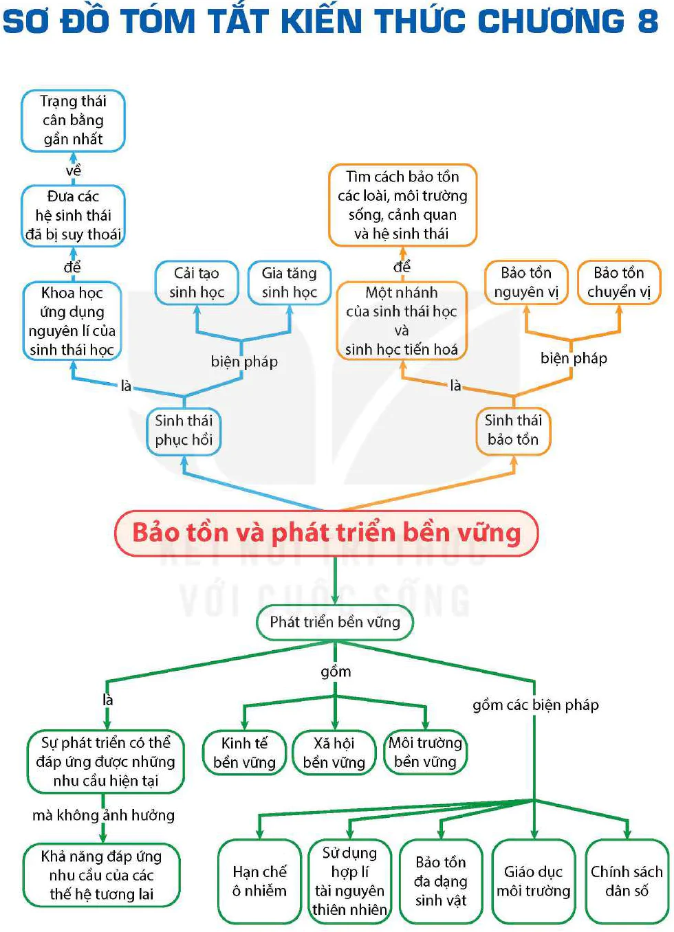 hinh-anh-bai-35-du-an-tim-hieu-thuc-trang-bao-ton-he-sinh-thai-tai-dia-phuong-va-de-xuat-giai-phap-bao-ton-13090-1