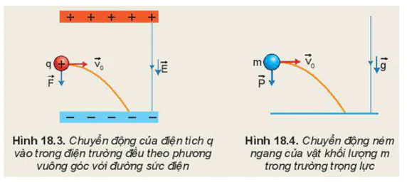 hinh-anh-bai-18-dien-truong-deu-3627-3