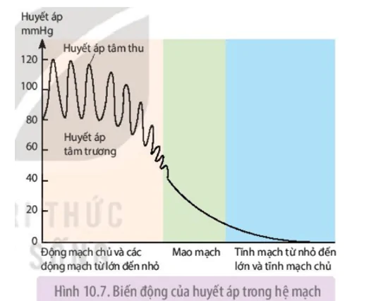 hinh-anh-bai-10-tuan-hoan-o-dong-vat-3651-3