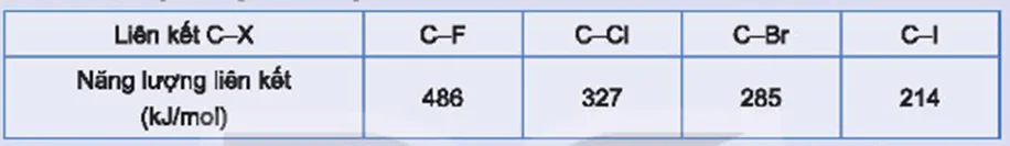 hinh-anh-bai-19-dan-xuat-halogen-3682-3