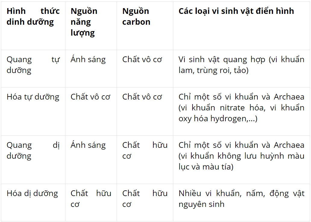 hinh-anh-bai-20-su-da-dang-va-phuong-phap-nghien-cuu-vi-sinh-vat-3735-3