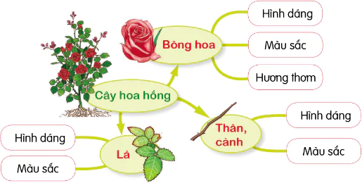 hinh-anh-bai-4-kho-bau-cua-em-9504-5