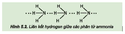 hinh-anh-bai-5-ammonia-muoi-ammonium-3678-4