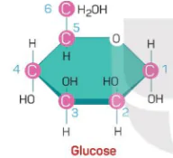 hinh-anh-bai-5-cac-phan-tu-sinh-hoc-3716-4