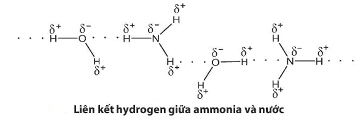 hinh-anh-bai-5-ammonia-muoi-ammonium-3678-5