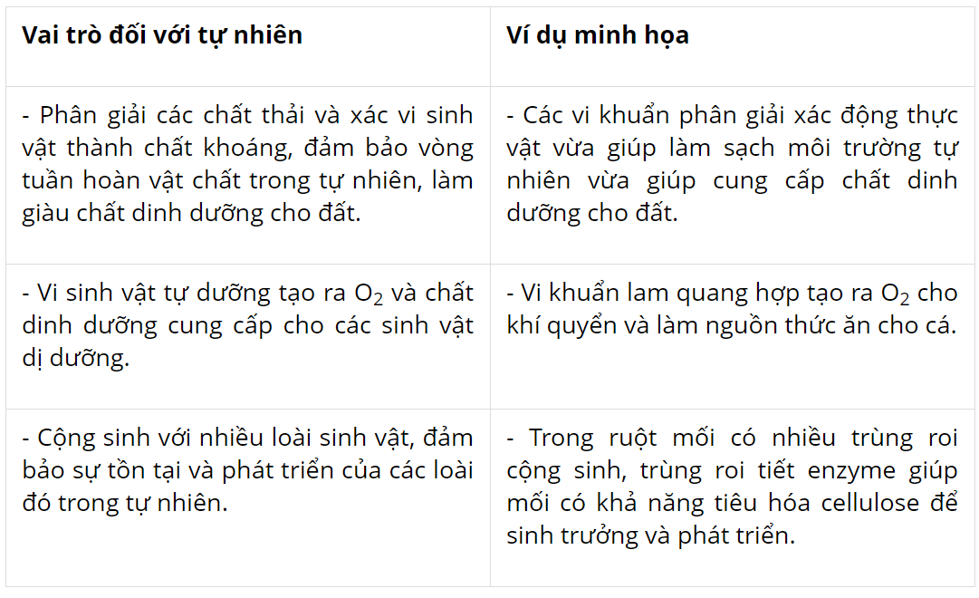 hinh-anh-bai-22-vai-tro-va-ung-dung-cua-vi-sinh-vat-3737-1