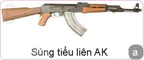 hinh-anh-bai-6-gioi-thieu-mot-so-loai-sung-bo-binh-thuoc-no-vat-can-va-vu-khi-tu-tao-13286-0