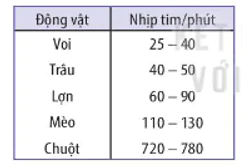 hinh-anh-bai-10-tuan-hoan-o-dong-vat-3651-6