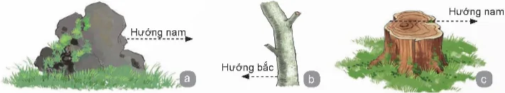 hinh-anh-bai-7-tim-va-giu-phuong-huong-13485-9