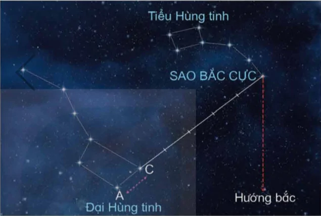 hinh-anh-bai-7-tim-va-giu-phuong-huong-13485-8