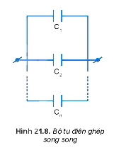 hinh-anh-bai-21-tu-dien-3633-7