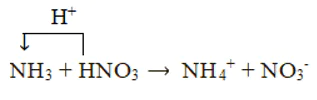 hinh-anh-bai-5-ammonia-muoi-ammonium-3678-7
