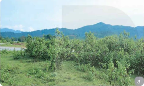 hinh-anh-bai-8-van-dung-cac-tu-the-dong-tac-co-ban-khi-van-dong-trong-chien-dau-13486-0
