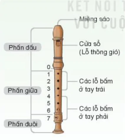 hinh-anh-nhac-cu-the-hien-nhac-cu-go-hoac-nhac-cu-giai-dieu-5320-3