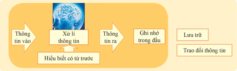 hinh-anh-bai-2-luu-tru-va-trao-doi-thong-tin-10871-0