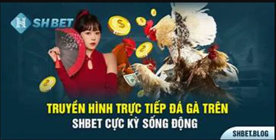 hinh-anh-truc-tiep-da-ga-tai-shbet-san-choi-day-soi-dong-cua-cac-ke-thu-274-0