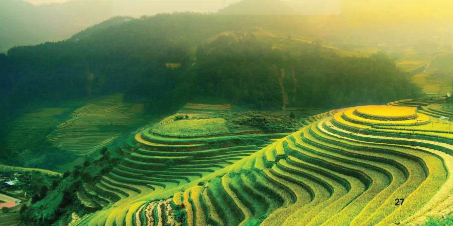 hinh-anh-bai-4-nhac-cu-bai-nhac-cu-so-2-giong-mi-thu-nghe-nhac-ta-tu-hao-di-len-oi-viet-nam-13119-5
