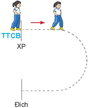 hinh-anh-bai-2-bai-tap-phoi-hop-di-chuyen-vong-trai-vong-phai-5573-7