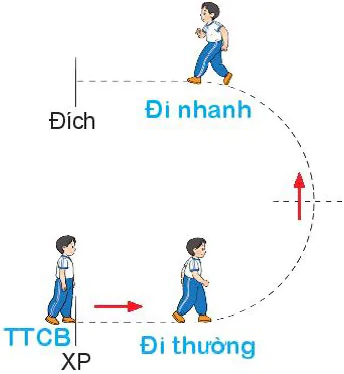 hinh-anh-bai-4-bai-tap-phoi-hop-di-chuyen-nhanh-dan-theo-vach-ke-sang-trai-va-sang-phai-7843-2