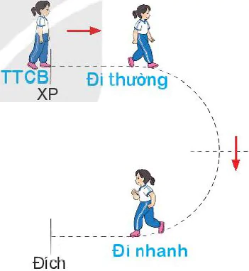 hinh-anh-bai-4-bai-tap-phoi-hop-di-chuyen-nhanh-dan-theo-vach-ke-sang-trai-va-sang-phai-7843-3