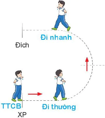 hinh-anh-bai-4-bai-tap-phoi-hop-di-chuyen-nhanh-dan-theo-vach-ke-sang-trai-va-sang-phai-7843-4