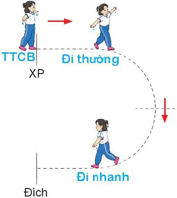 hinh-anh-bai-4-bai-tap-phoi-hop-di-chuyen-nhanh-dan-theo-vach-ke-sang-trai-va-sang-phai-7843-5