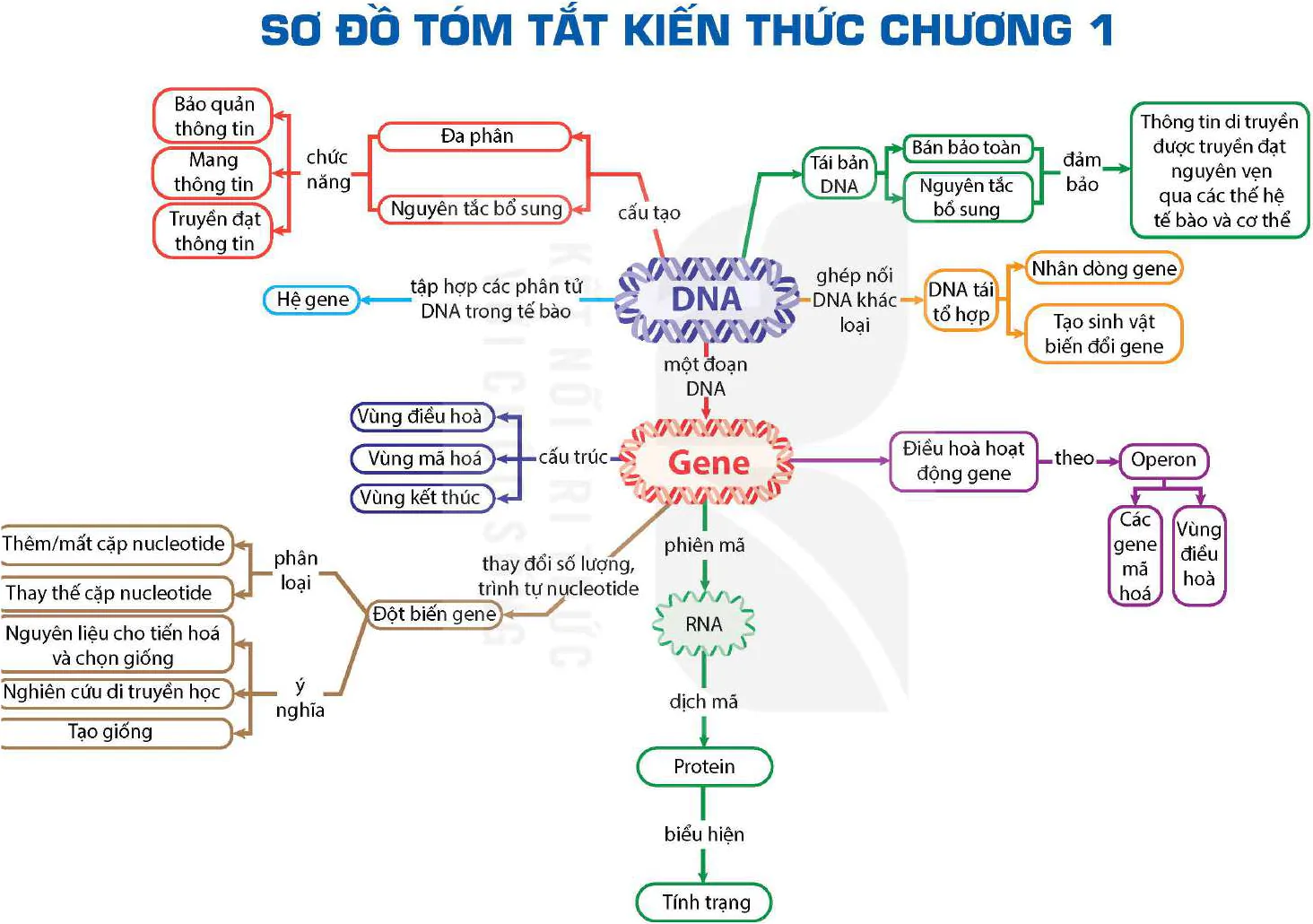 hinh-anh-bai-6-thuc-hanh-tach-chiet-dna-12915-1