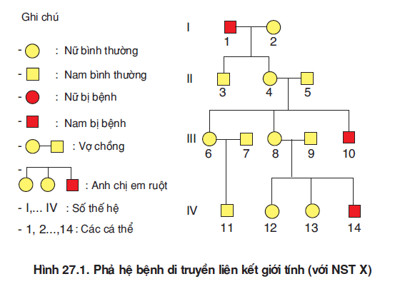 hinh-anh-bai-27-phuong-phap-nghien-cuu-di-truyen-nguoi-3500-0