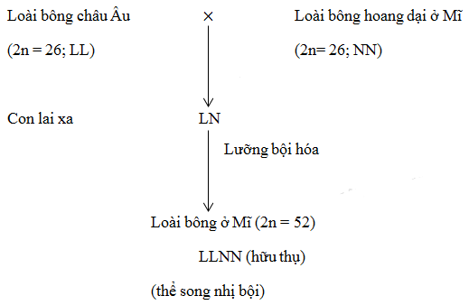 hinh-anh-bai-30-qua-trinh-hinh-thanh-loai-tiep-theo-3422-0