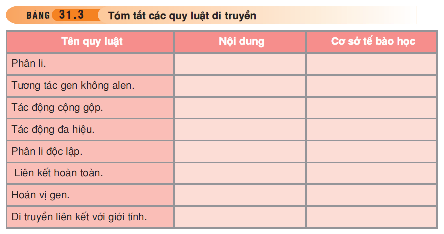 hinh-anh-bai-31-on-tap-phan-nam-di-truyen-hoc-3504-4