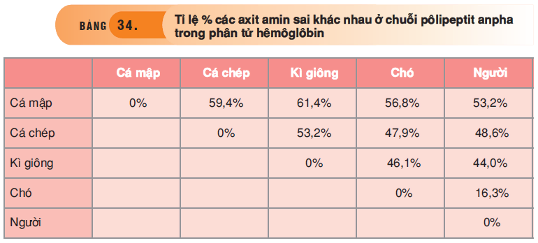 hinh-anh-bai-34-bang-chung-te-bao-hoc-va-sinh-hoc-phan-tu-3507-2