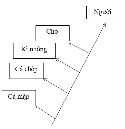 hinh-anh-bai-34-bang-chung-te-bao-hoc-va-sinh-hoc-phan-tu-3507-3