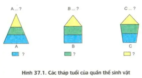 hinh-anh-bai-37-cac-dac-trung-co-ban-cua-quan-the-sinh-vat-3435-0