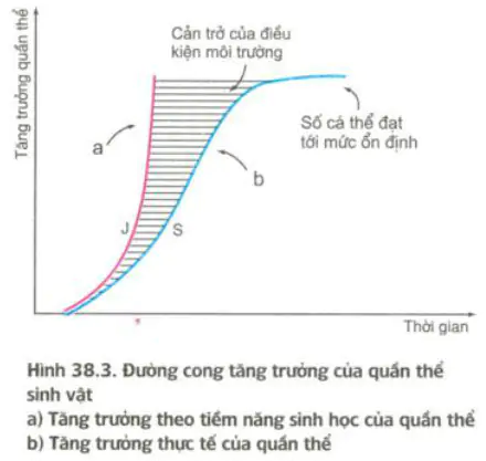 hinh-anh-bai-38-cac-dac-trung-co-ban-cua-quan-the-sinh-vat-tiep-theo-3436-0