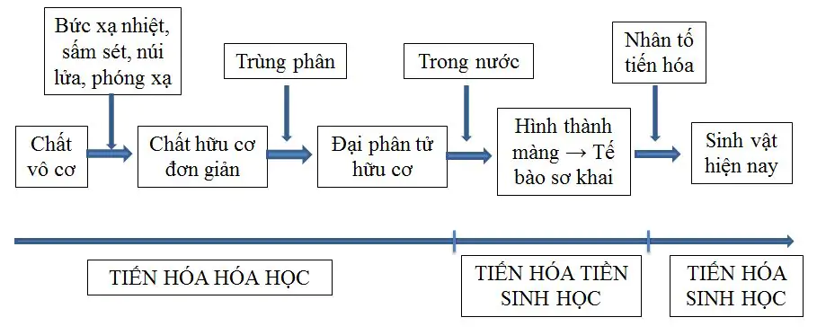 hinh-anh-bai-43-su-phat-sinh-su-song-tren-trai-dat-3532-0