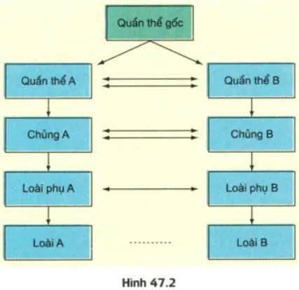 hinh-anh-bai-47-on-tap-phan-tien-hoa-va-sinh-thai-hoc-3461-1