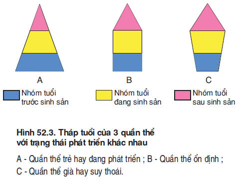 hinh-anh-bai-52-cac-dac-trung-co-ban-cua-quan-the-3541-0