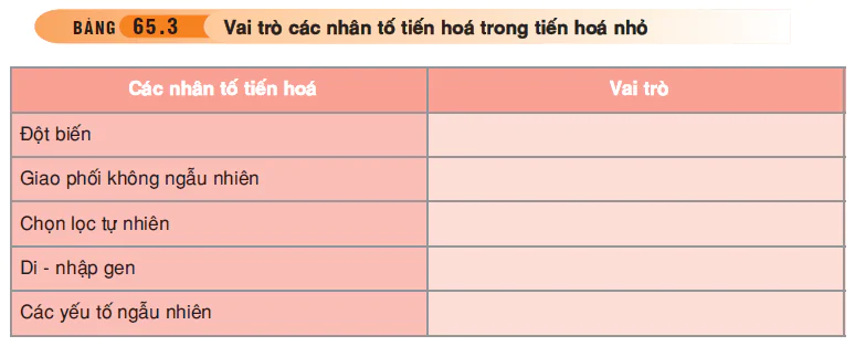 hinh-anh-bai-65-on-tap-phan-sau-tien-hoa-va-phan-bay-sinh-thai-hoc-3554-2