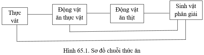 hinh-anh-bai-65-on-tap-phan-sau-tien-hoa-va-phan-bay-sinh-thai-hoc-3554-8