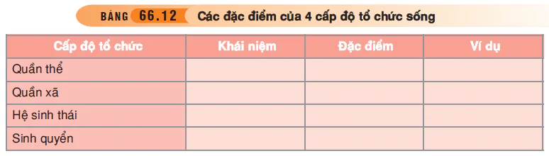 hinh-anh-bai-66-tong-ket-toan-cap-3555-11