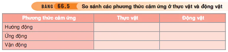 hinh-anh-bai-66-tong-ket-toan-cap-3555-4