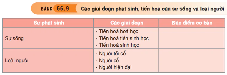 hinh-anh-bai-66-tong-ket-toan-cap-3555-8