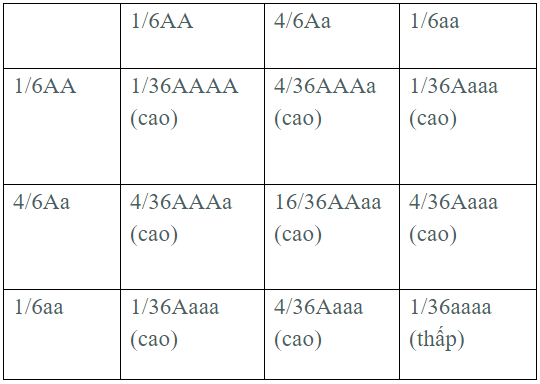 hinh-anh-bai-15-bai-tap-chuong-1-va-chuong-2-3398-3