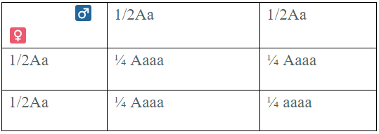 hinh-anh-bai-15-bai-tap-chuong-1-va-chuong-2-3398-2