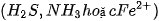 hinh-anh-bai-20-su-da-dang-va-phuong-phap-nghien-cuu-vi-sinh-vat-12862-9