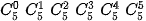 hinh-anh-bai-4-nhi-thuc-newton-13187-22