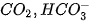 hinh-anh-bai-20-su-da-dang-va-phuong-phap-nghien-cuu-vi-sinh-vat-12862-8