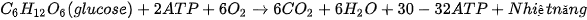 hinh-anh-bai-14-phan-giai-va-tong-hop-cac-chat-trong-te-bao-12835-4